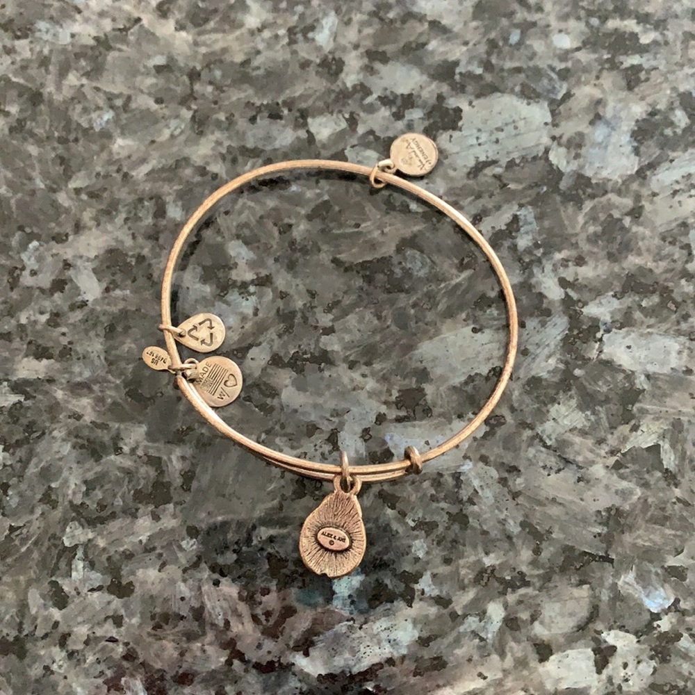 Alex and Ani bracelet - Picture 2 of 4